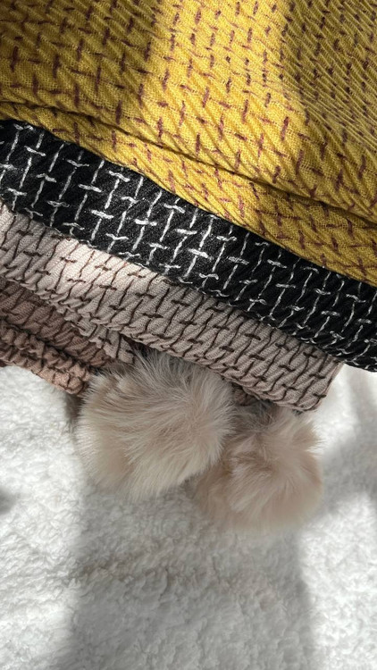 رنگ بندی متفاوت و عالی