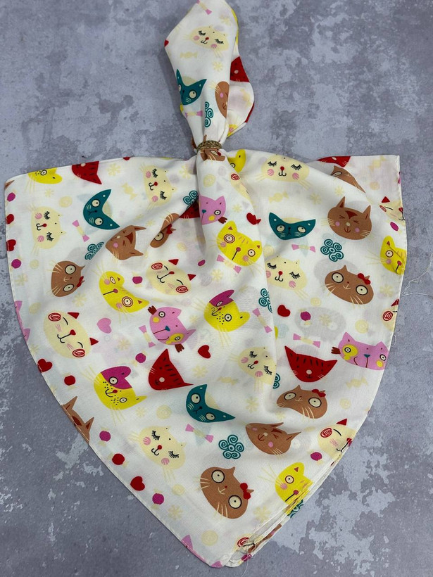 تنوع رنگ بندی