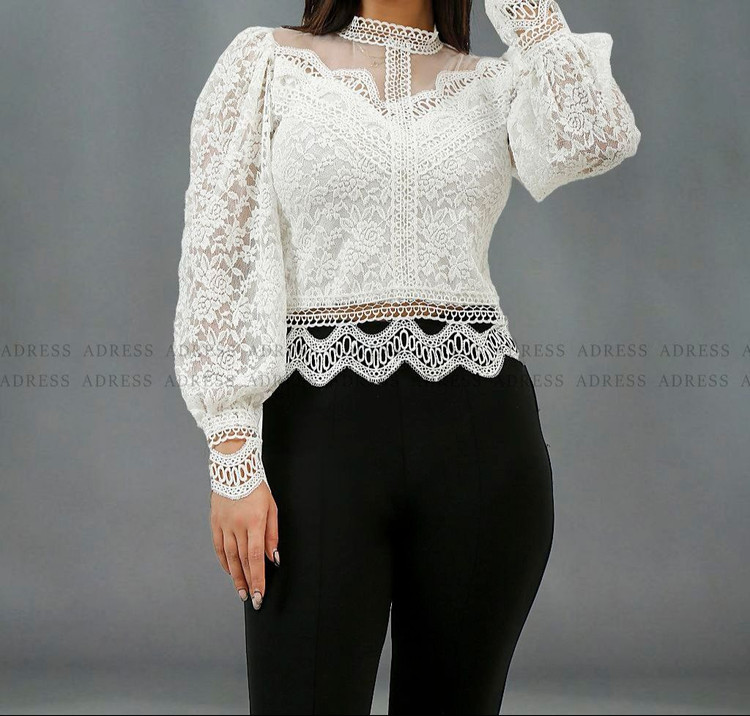 تنوع رنگبندی سایزبندی