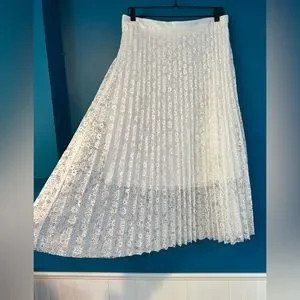 تنوع انوع دامن مجلسی