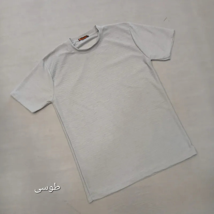 تیشرت بیسکویتی مردانه نخی ساده لارج تا سه ایکس لارج