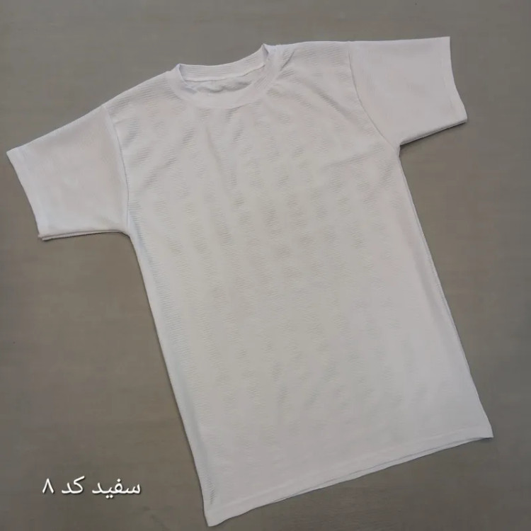 تیشرت بیسکویتی مردانه نخی ساده لارج تا سه ایکس لارج